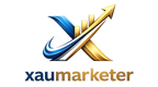 XAUMARKETER Solutions pvt ltd - Home